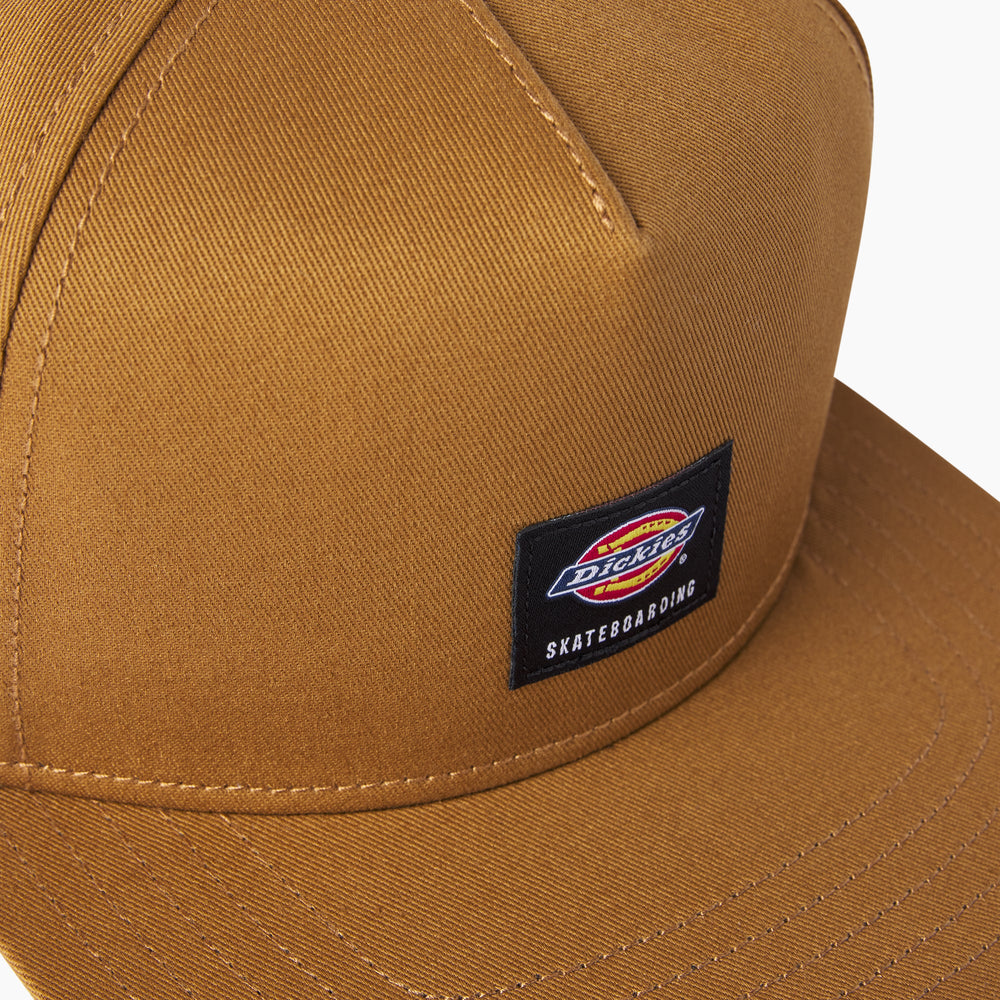 Dickies Skateboarding Mid Pro Cap